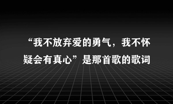 “我不放弃爱的勇气，我不怀疑会有真心”是那首歌的歌词