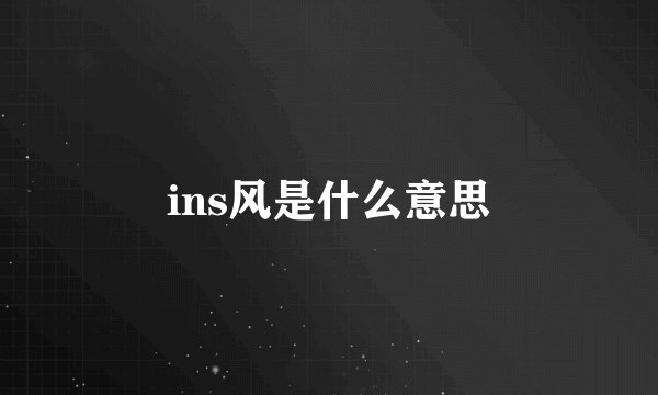 ins风是什么意思
