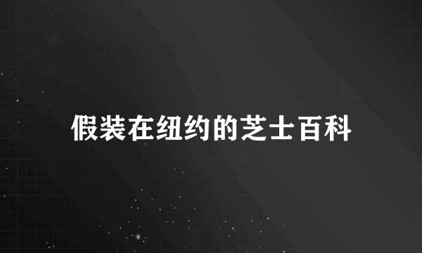 假装在纽约的芝士百科