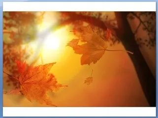 幻灯片 背景图片怎么弄