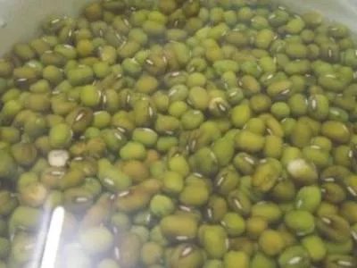 电饭锅可以煮绿豆汤吗