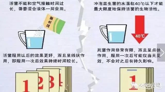 你们买益生菌的话都是买什么品牌的？