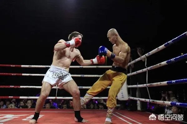 被西提猜KO后，武僧一龙如今在精武门当了评委，你怎么看？
