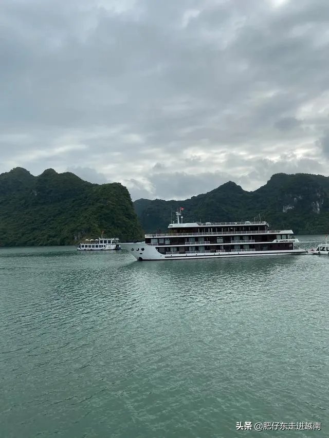 越南什么时候可以入境中国