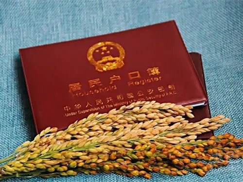 南京迁户口需要什么手续流程