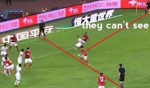 刘健到底有没有手球？