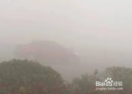 大雾天气开车应该注意什么？