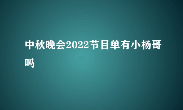 中秋晚会2022节目单有小杨哥吗