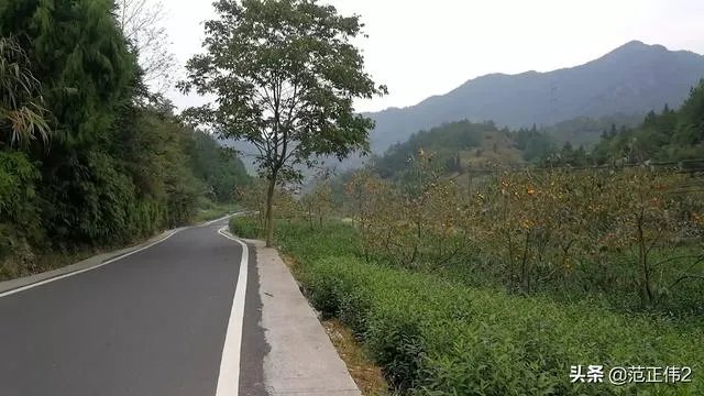 国庆长假,你们打算加班还是放假去城市周边旅游呢?