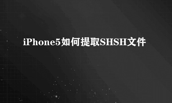 iPhone5如何提取SHSH文件