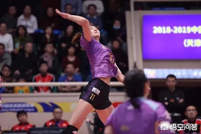 2018-2019女排全明星赛即将开赛，有哪些看点？你期待吗？