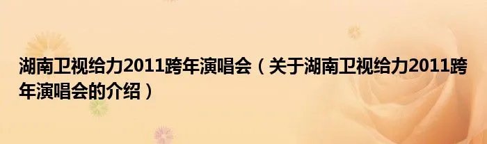 湖南卫视给力2011跨年演唱会（关于湖南卫视给力2011跨年演唱会的介绍）