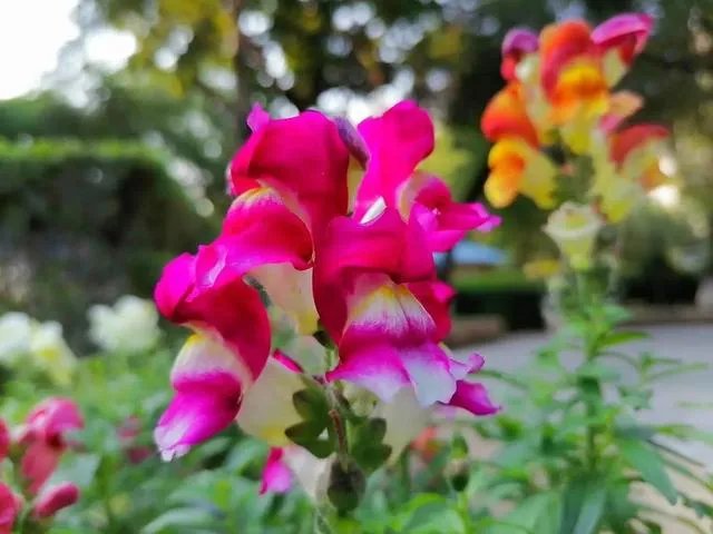 妻子回娘家照顾年迈的父亲，我却过起了单身生活，我该怎么办？