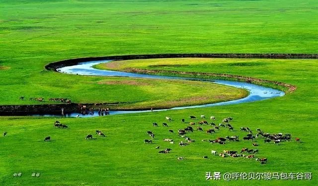 尼康d300s怎么样？