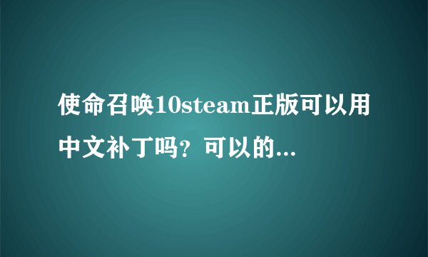 使命召唤10steam正版可以用中文补丁吗？可以的话求中文补丁。