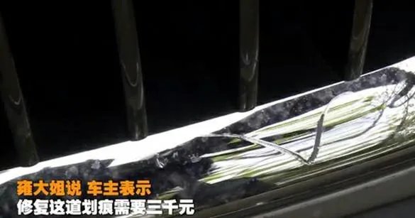 成都保洁大姐蹭伤豪车，丈夫称要与其离婚，你怎么看？