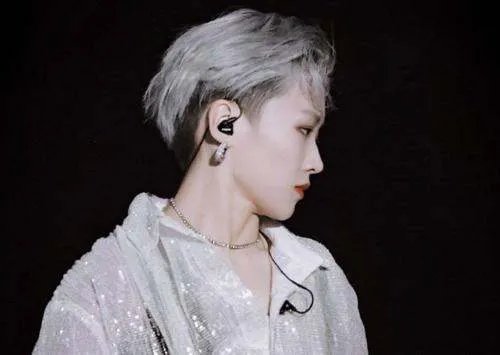 综艺《向上吧少年》重启,哪些明星曾参加过这个节目?