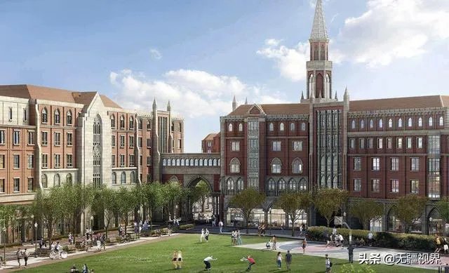 美主动撤销签证新规，特朗普政府为何不等诉讼结果？