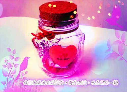 强迫臣服(西无最)全文阅读-强迫臣服(西无最)免费阅读