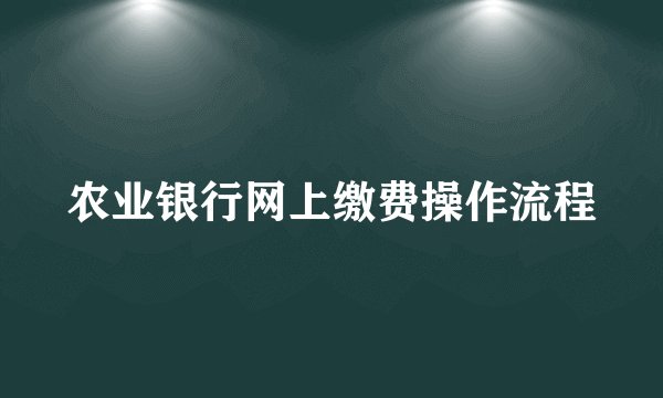 农业银行网上缴费操作流程