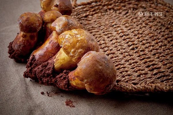 松茸怎么保存最好