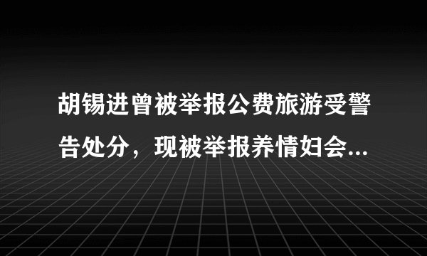 胡锡进曾被举报公费旅游受警告处分，现被举报养情妇会怎么处罚？