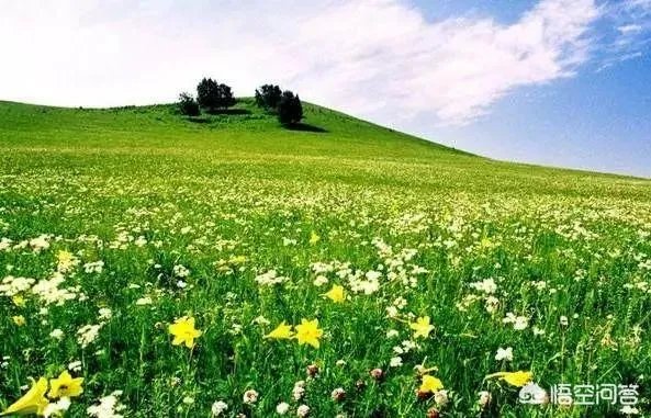 八九月份适合去哪里旅游？