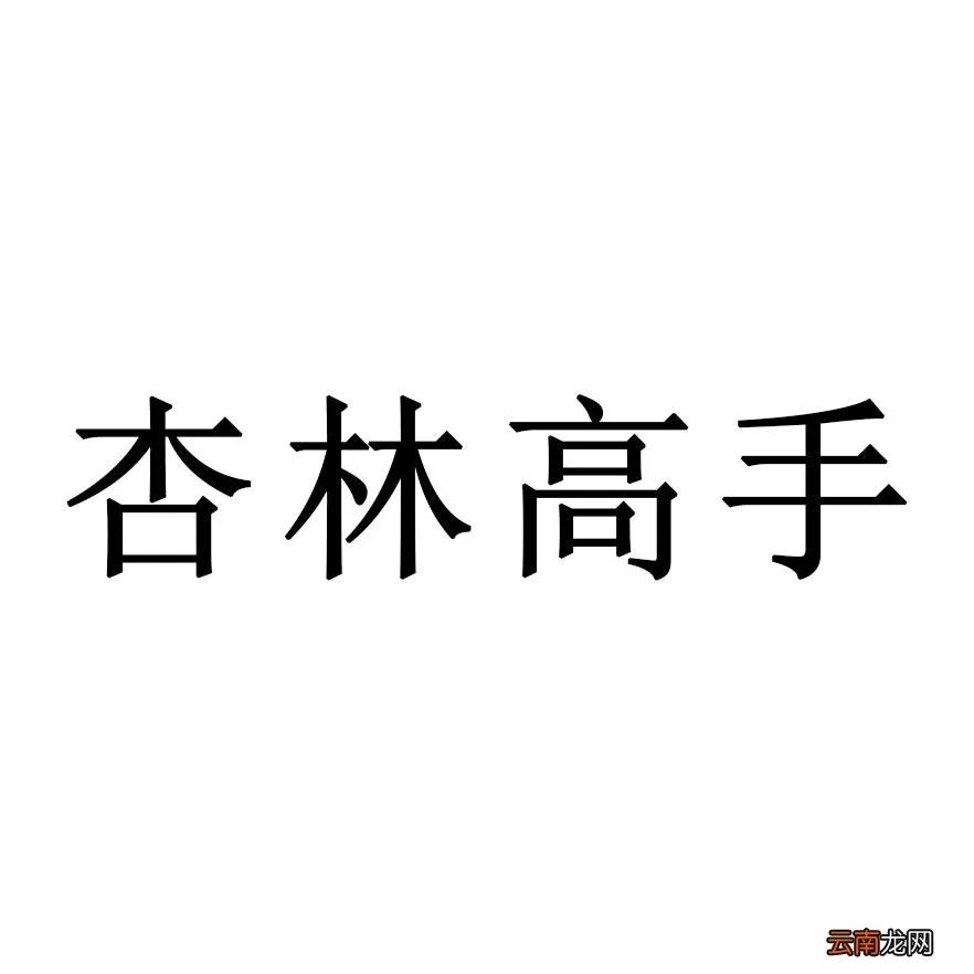 杏林高手是指