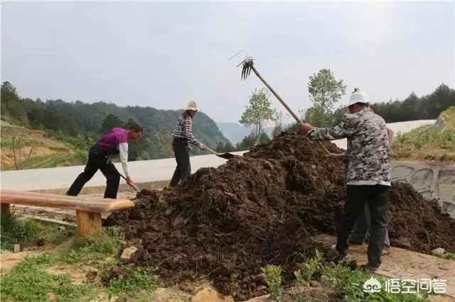 如何处理畜禽粪便？