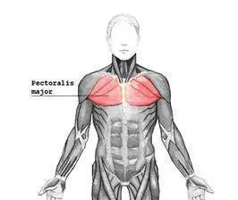 臂力器锻炼方法图解
