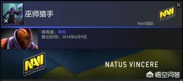 dota2中有哪些v社专门为职业选手设计的英雄套装？