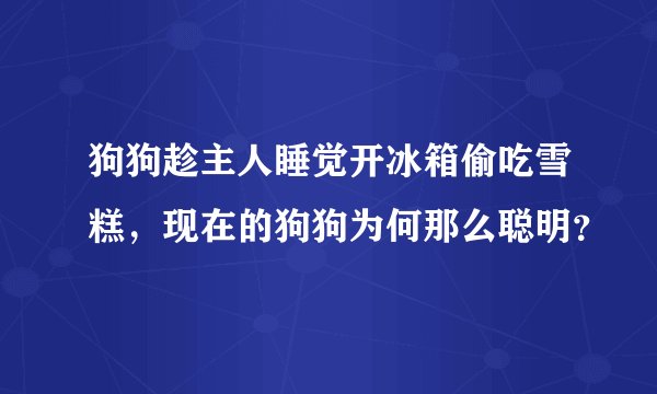 狗狗趁主人睡觉开冰箱偷吃雪糕，现在的狗狗为何那么聪明？