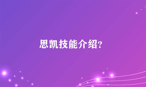 思凯技能介绍？