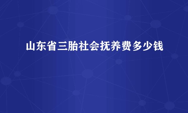 山东省三胎社会抚养费多少钱