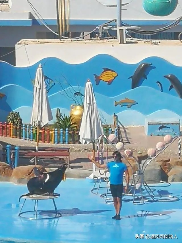 互联网项目融资平台有哪些?