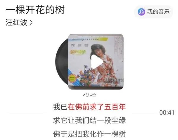 有句歌词是 我在佛前求了五百年 请问这首歌叫什么名字?