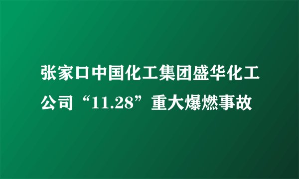 张家口中国化工集团盛华化工公司“11.28”重大爆燃事故