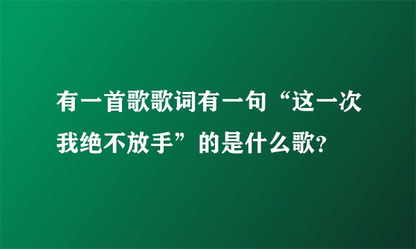 有一首歌歌词有一句“这一次我绝不放手”的是什么歌？