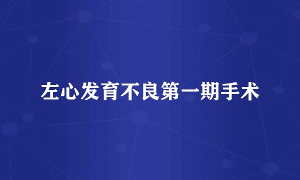 左心发育不良第一期手术