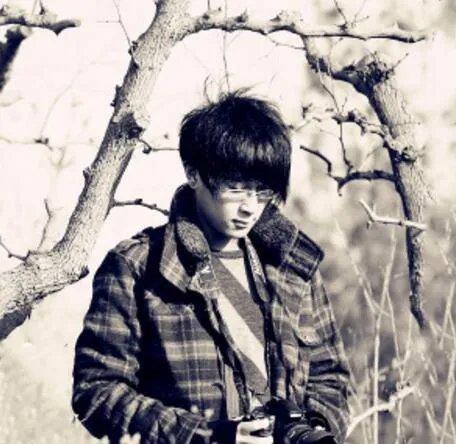 贝多芬的悲伤原唱是谁 歌词演绎着唯美的故事