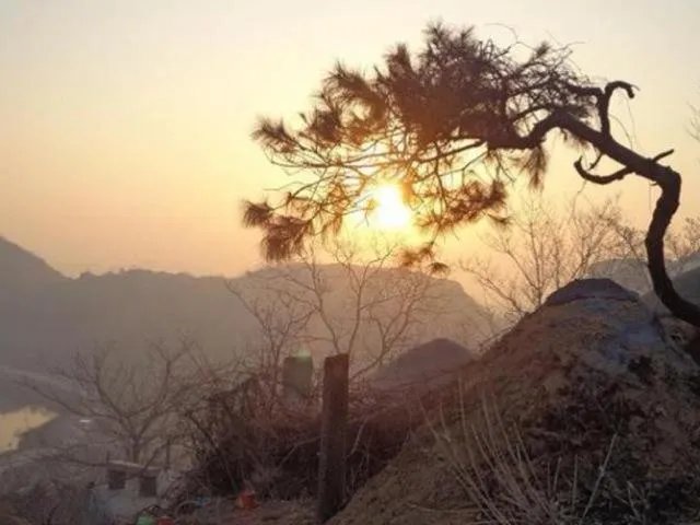 老话“坟前生洞子孙穷，坟后三物变富人”是啥意思？