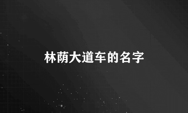 林荫大道车的名字