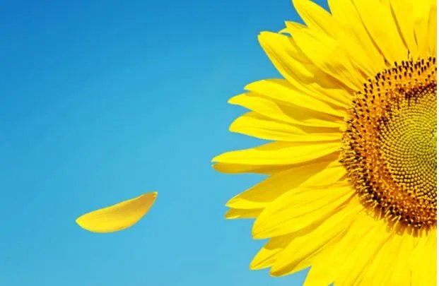 2021年什么时候入伏第一天  几号入伏