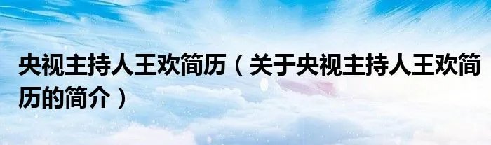 央视主持人王欢简历（关于央视主持人王欢简历的简介）