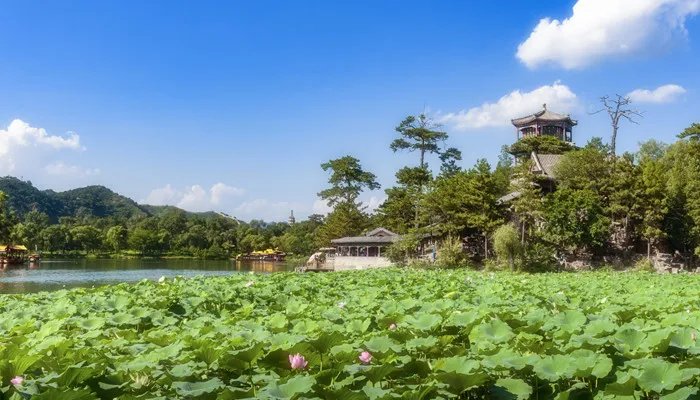 入伏从哪一天开始算起 入伏是哪天开始