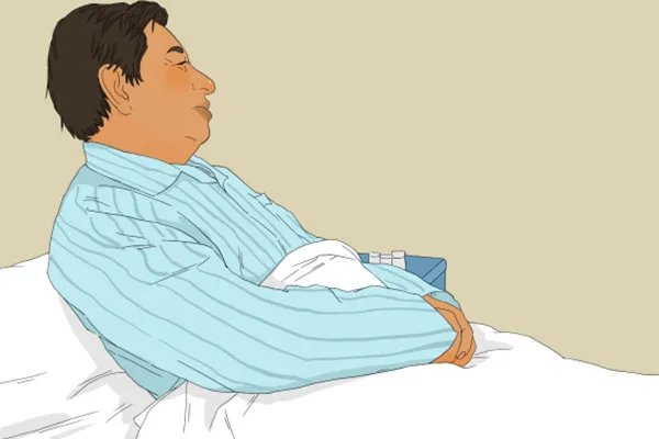 黄柏的功效与用途