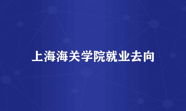 上海海关学院就业去向