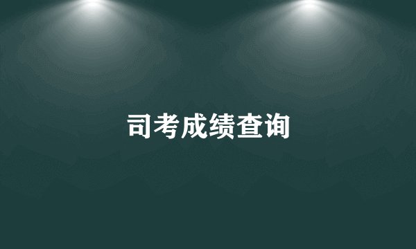 司考成绩查询