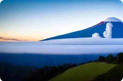 迟帅简介及详细资料