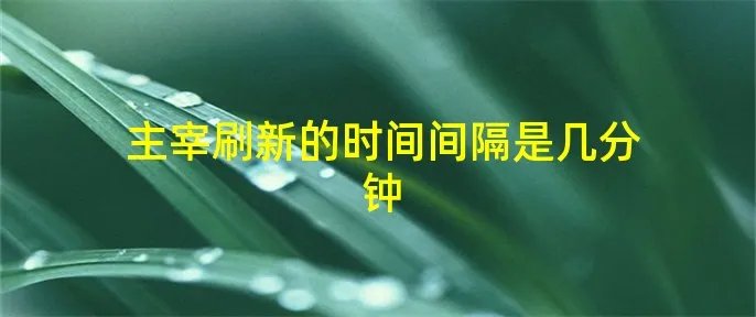 主宰刷新的时间间隔是几分钟